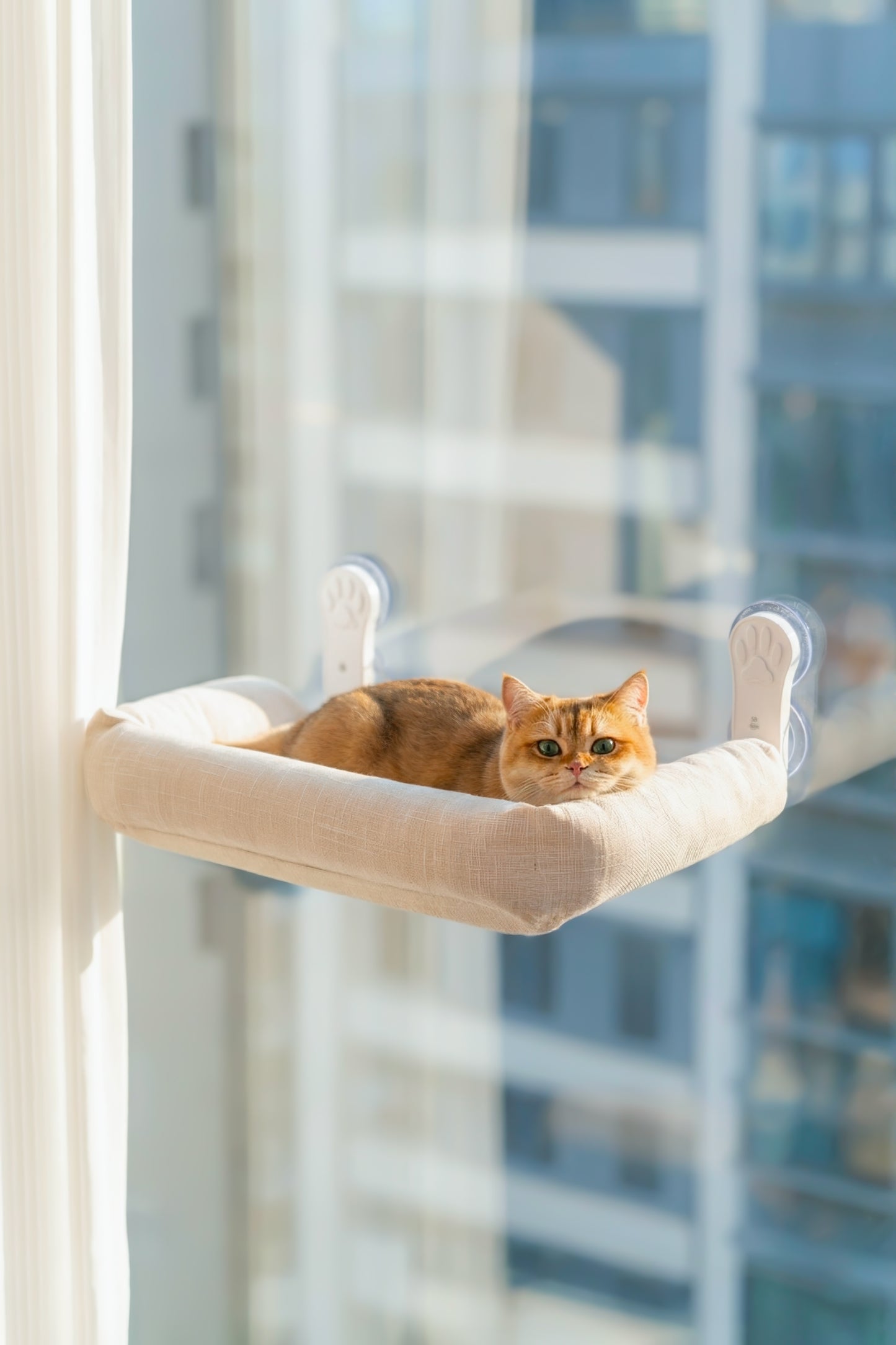 CloudNest™ Window Hammock for Cats – Classic Edition