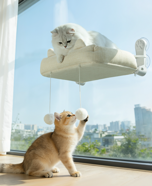 CloudNest™ Window Hammock for Cats – Play Edition