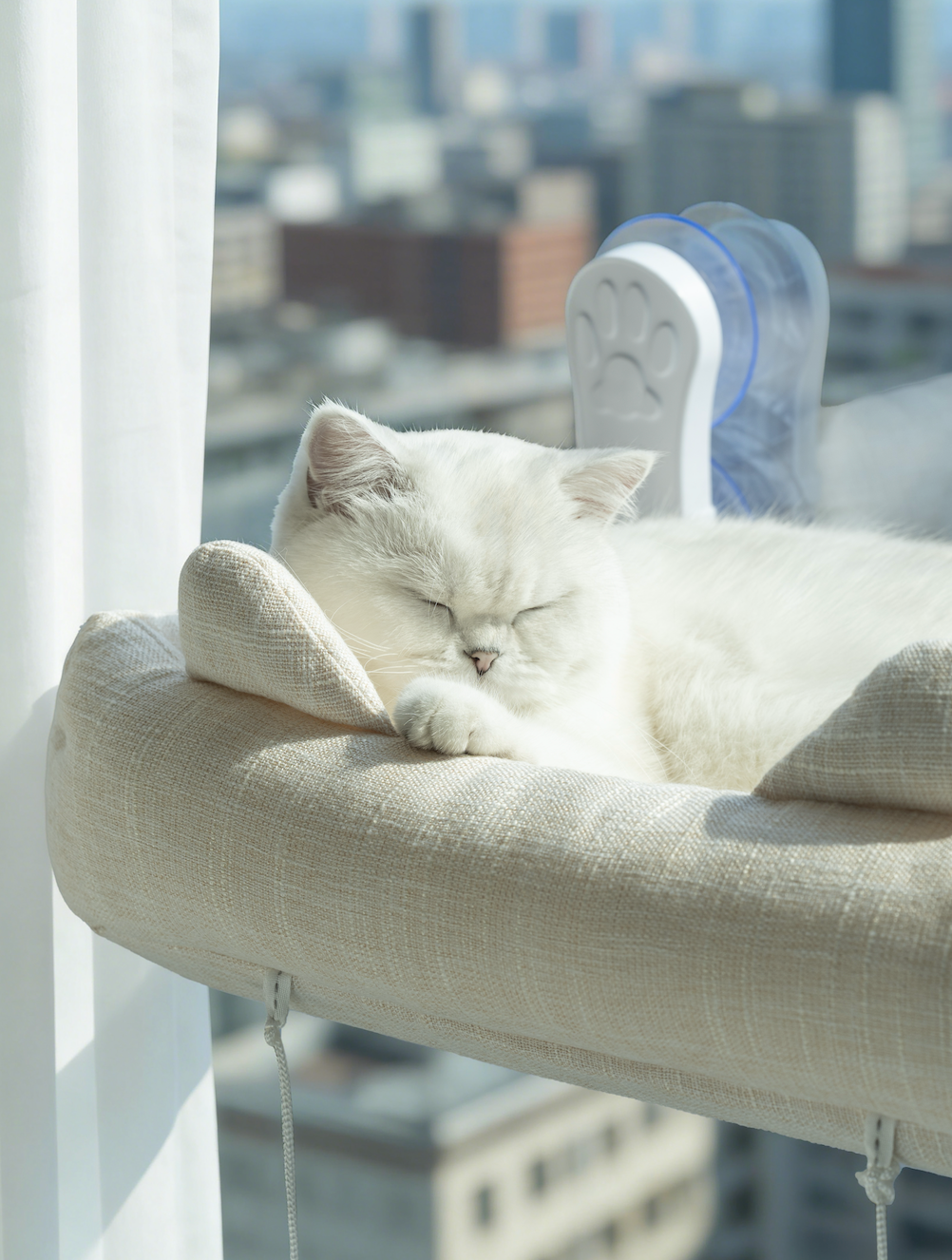 CloudNest™ Window Hammock for Cats – Play Edition